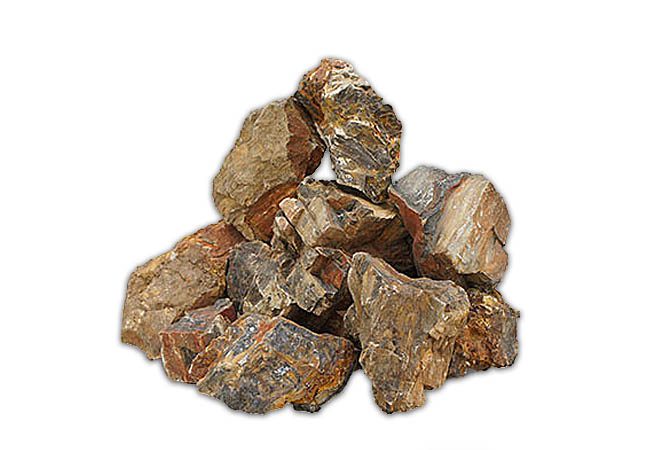 Roca madera fosil