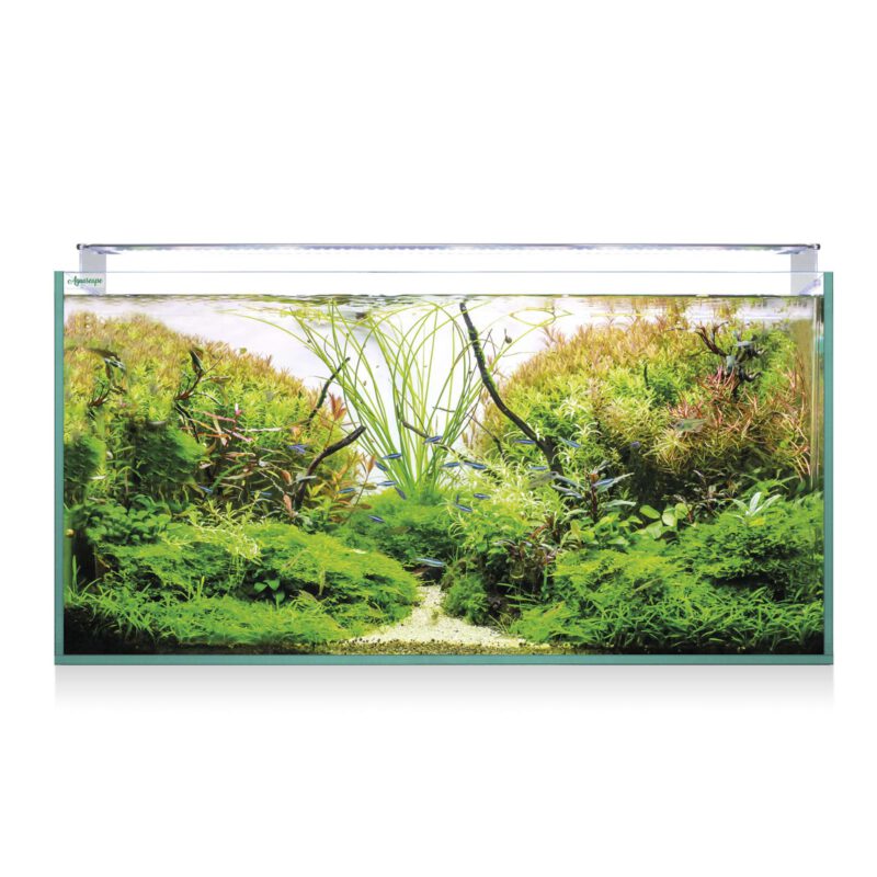 Kit acuario Aquascape Pro RGB extra-claro 266L